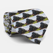 Big Boy 4014 Aangepast Stropdas (Opgerold)