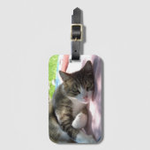 Big Boy Cat op tafel Bagagelabel (Voorkant (verticaal))