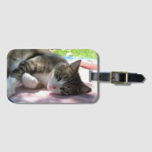 Big Boy Cat op tafel Bagagelabel (Voorkant (horizontaal))