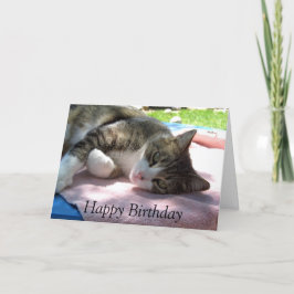 Big Boy Cat op tafel Verjaardag Kaart