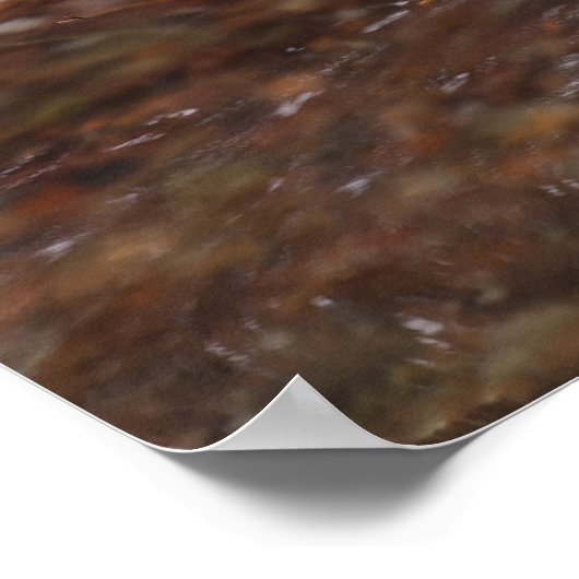 Big Branch-Herfsten Poster (Hoek)