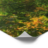 Big Branch Wilderness Vermont Poster (Hoek)