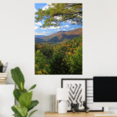 Big Branch Wilderness Vermont Poster (Thuiskantoor)