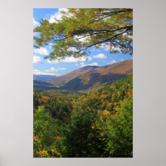 Big Branch Wilderness Vermont Poster (Voorkant)