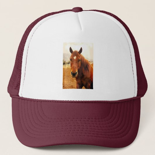 Big Braxton Trucker Hat Trucker Pet (Voorkant)