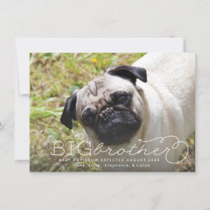 Big Brother Foto Zwangerschap Zwangerschap Aankond Aankondiging