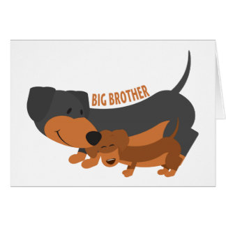 Big Brother (honden)