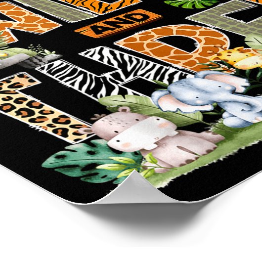 Big Brother Of The Wild & Three 3rd Birthday S Poster (Hoek)