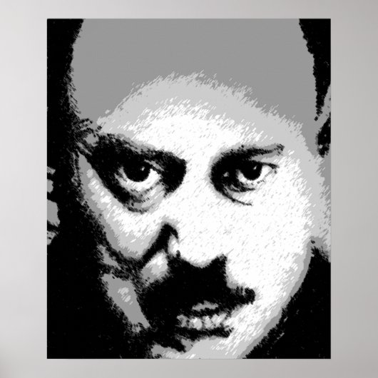 Big Brother Poster (Voorkant)