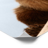 Big Brown Beer op een log Poster (Hoek)