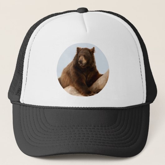 Big Brown Beer Trucker Pet (Voorkant)