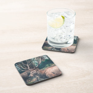 Big Brown Buck Deer met Grote Antlers Bier Onderzetter