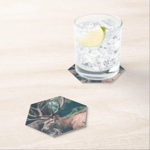 Big Brown Buck Deer met Grote Antlers Kartonnen Onderzetters