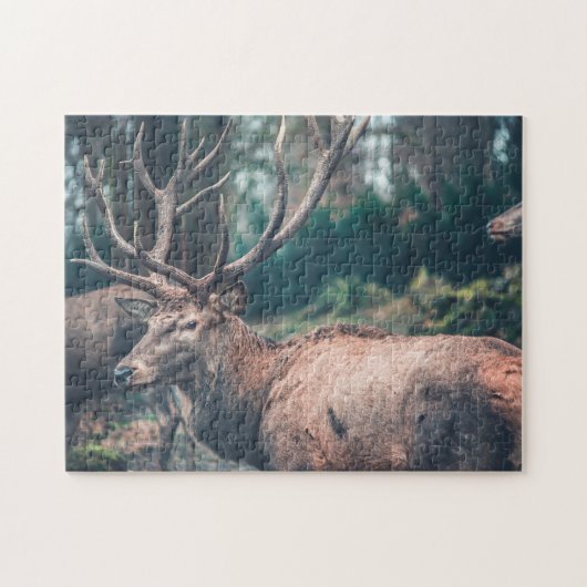 Big Brown Buck Deer met Grote Antlers Legpuzzel (Horizontaal)