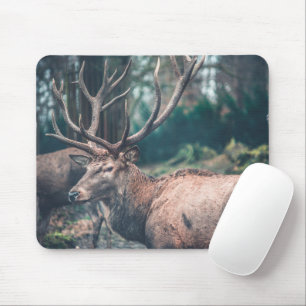 Big Brown Buck Deer met Grote Antlers Muismat