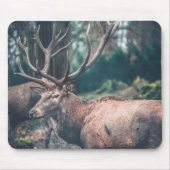 Big Brown Buck Deer met Grote Antlers Muismat (Voorkant)