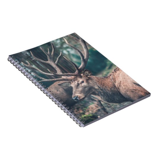Big Brown Buck Deer met Grote Antlers Notitieboek (Rechterzijde)