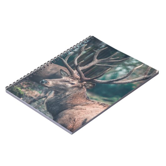 Big Brown Buck Deer met Grote Antlers Notitieboek (Linkerzijde)