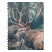 Big Brown Buck Deer met Grote Antlers Notitieboek (Voorkant)