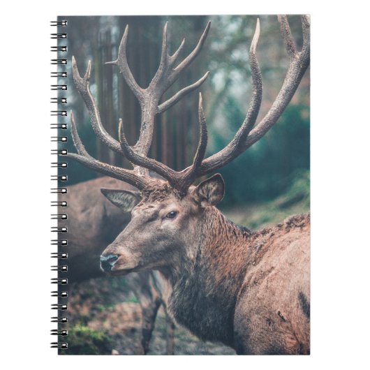 Big Brown Buck Deer met Grote Antlers Notitieboek (Voorkant)