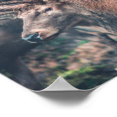 Big Brown Buck Deer met Grote Antlers Poster (Hoek)