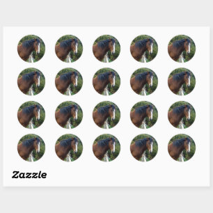 Big Brown Clydesdale Horse Ronde Sticker