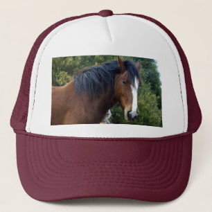 Big Brown Clydesdale Horse Trucker Pet