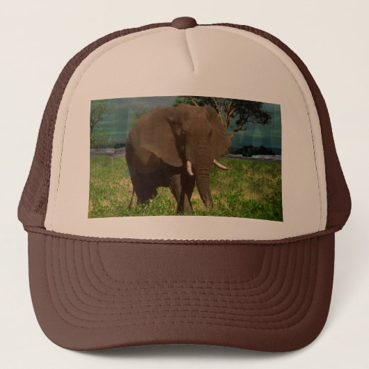 Big Brown Elephant Grazing, Trucker Pet (Voorkant)