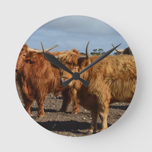 Big Brown Highland Cows Ronde Klok (Voorkant)
