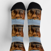 Big Brown Highland Koeien, Crew Sokken (Top)