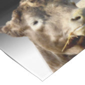 Big Brown Koe Face Chewing Hay Tafelkleed (Gekanteld)