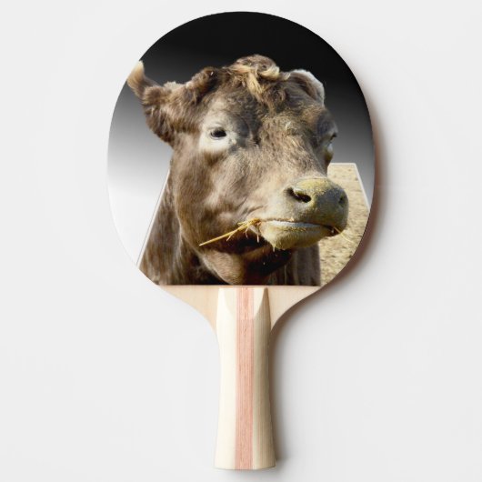 Big Brown Koe Face, Tafeltennisbatje (Voorkant)
