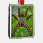 Big Brown Spider Metalen Ornament (Rechts)