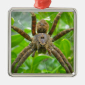 Big Brown Spider Metalen Ornament (Voorkant)