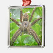 Big Brown Spider Metalen Ornament (Links)