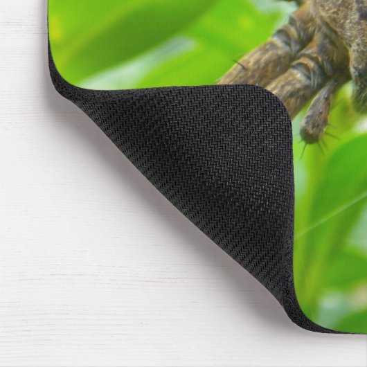 Big Brown Spider Muismat (Hoek)