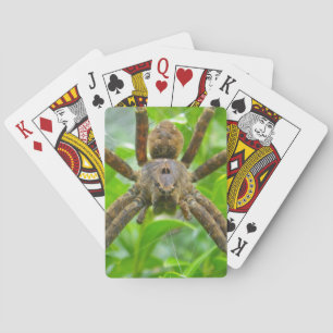 Big Brown Spider Pokerkaarten