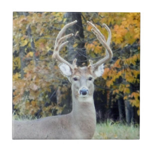 Big Buck Antlers Ceramic Tile Tegeltje