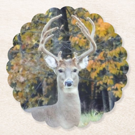 Big Buck Antlers Onderzetter (Voorkant)