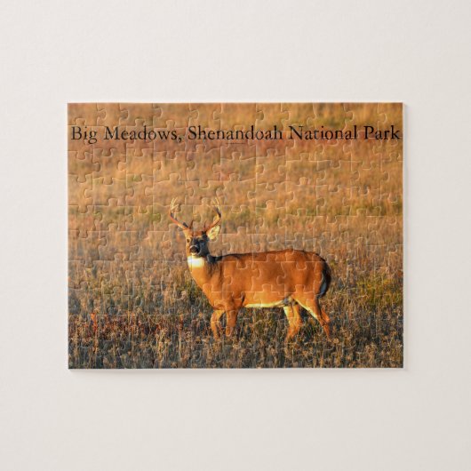 Big Buck, Big Meadows, Shenandoah National Park Legpuzzel (Horizontaal)