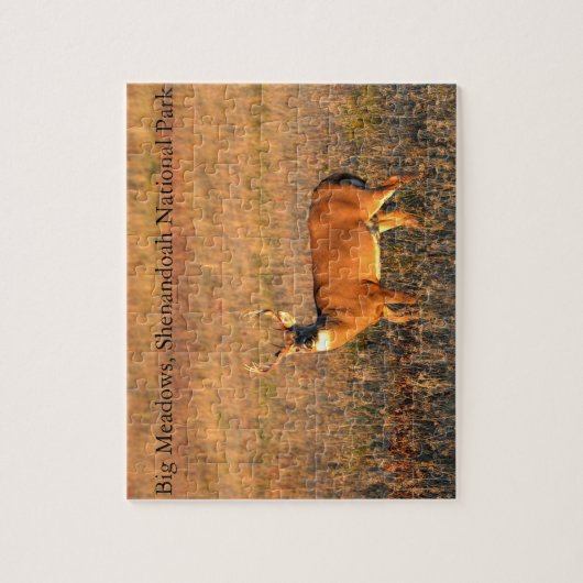 Big Buck, Big Meadows, Shenandoah National Park Legpuzzel (Verticaal)