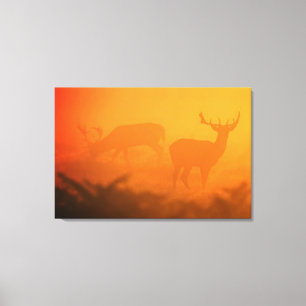 Big Buck bij zonsondergang Verschillende maten ver Canvas Afdruk