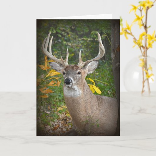 Big Buck Birthday Kaart (Gele Bloem)