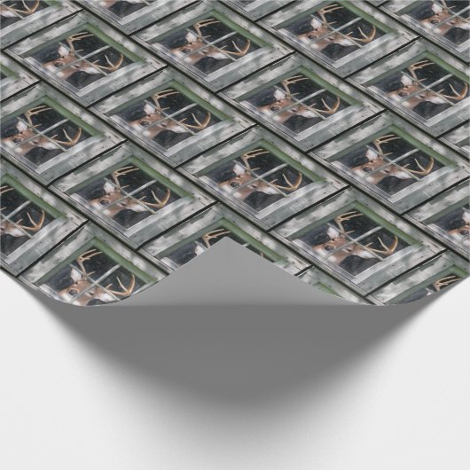 Big Buck Deer in Window Cadeaupapier (Hoek)