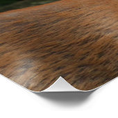 Big Buck Deer Perfect Poster (Hoek)