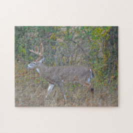 Big Buck Herten in Texas Wild Animal Puzzel