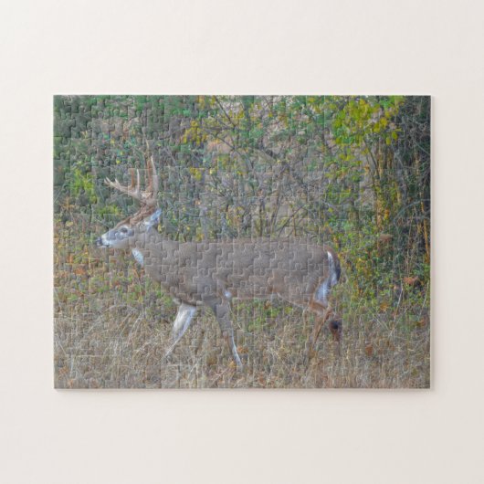 Big Buck Herten in Texas Wild Animal Puzzel (Horizontaal)