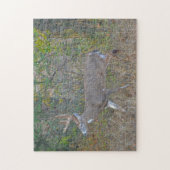Big Buck Herten in Texas Wild Animal Puzzel (Verticaal)