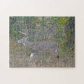 Big Buck Herten in Texas Wild Animal Puzzel Legpuzzel (Horizontaal)
