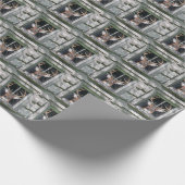 Big Buck in het raam Cadeaupapier (Hoek)